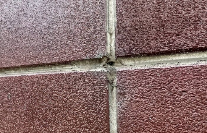 LINE_ALBUM_現調時_250725_25