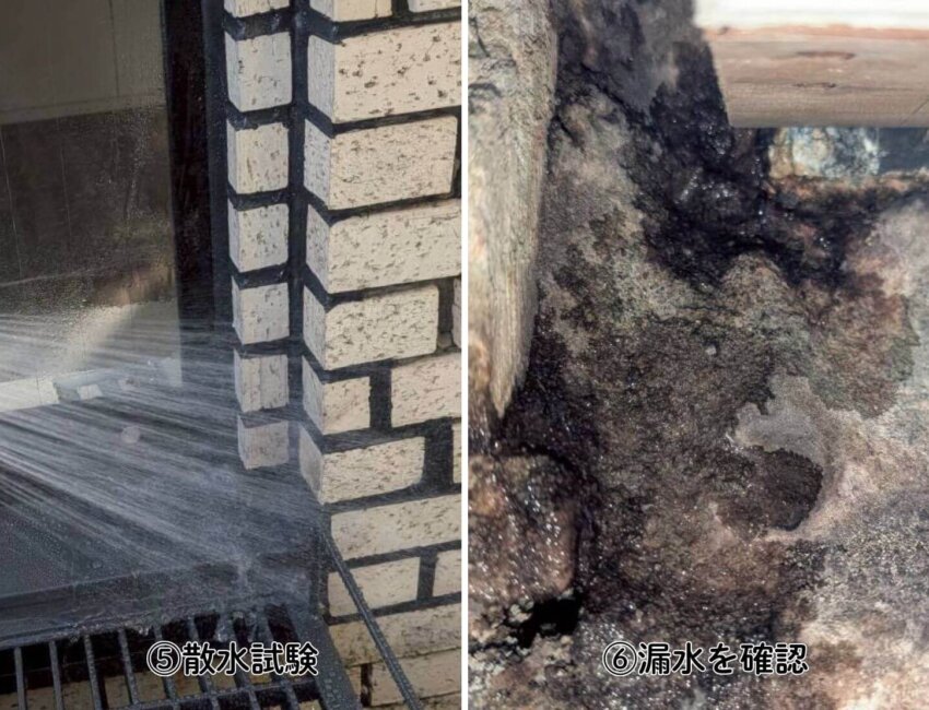 段落テキスト (7)